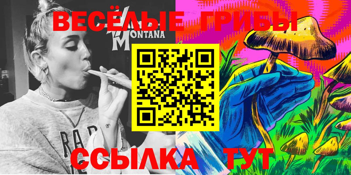 Ставрополь  Галлюциногенные грибы MAGIC MUSHROOMS  Вход с VPN  Псилоцибиновые грибы GOLDEN TEACHER 
