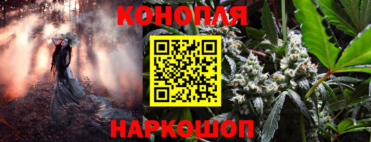 Ставрополь  Канабис план  Вход с VPN  Конопля планчик  Канабис тримм 